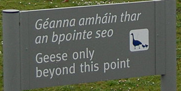 no geese beyond this point